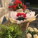 Villa Varenna 3* Varenna
